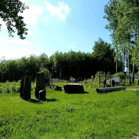 Cheerful Near Forest In T Nnesberg
