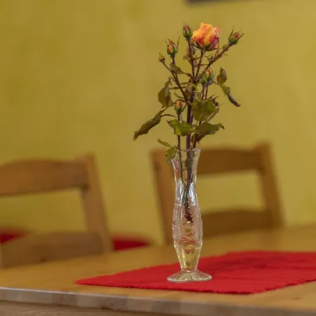 Apartamento Cheerful Near Forest In T Nnesberg *